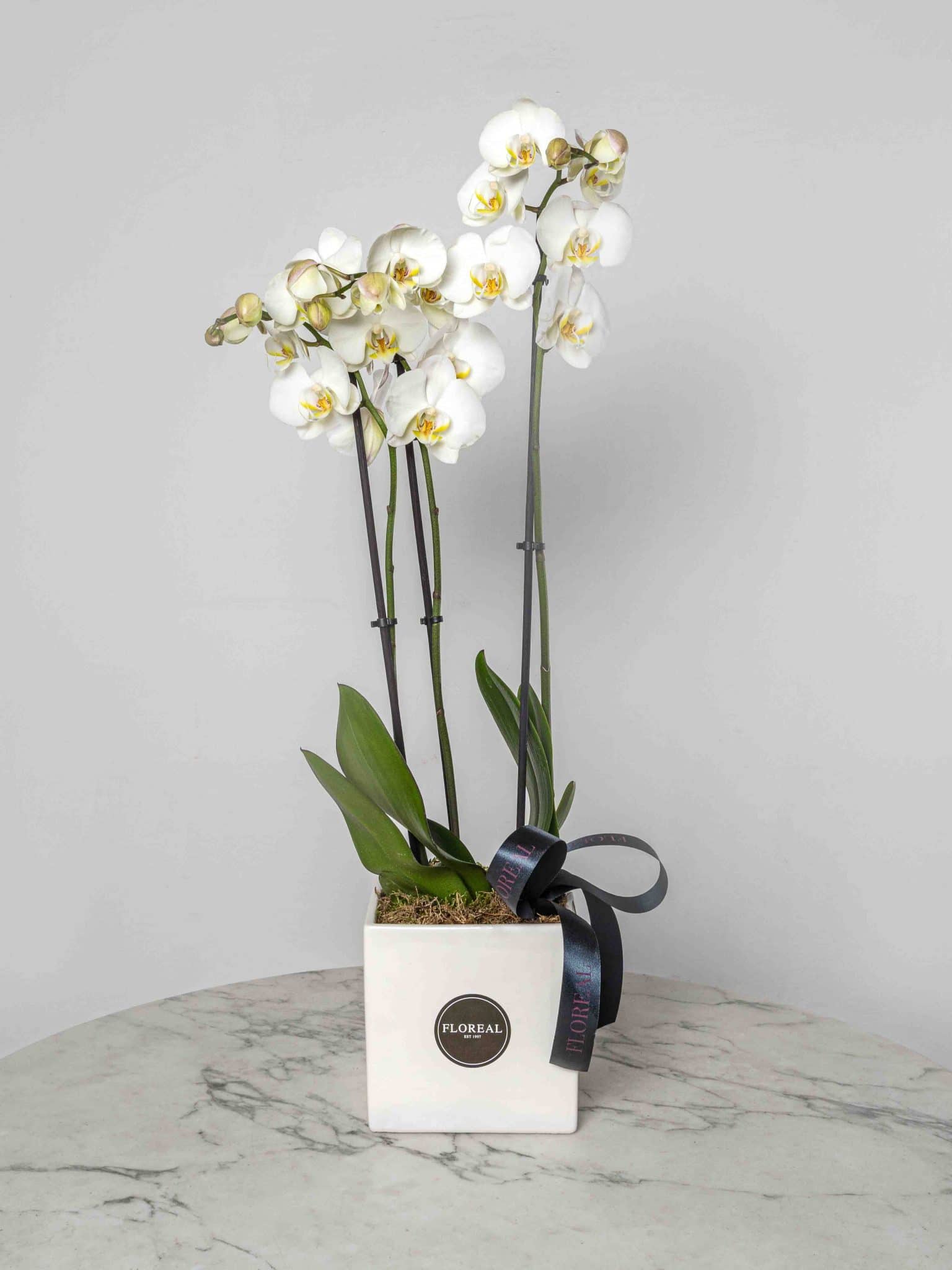 Mothers Day Flowers Flowers Delivery in Malta Floreal Malta