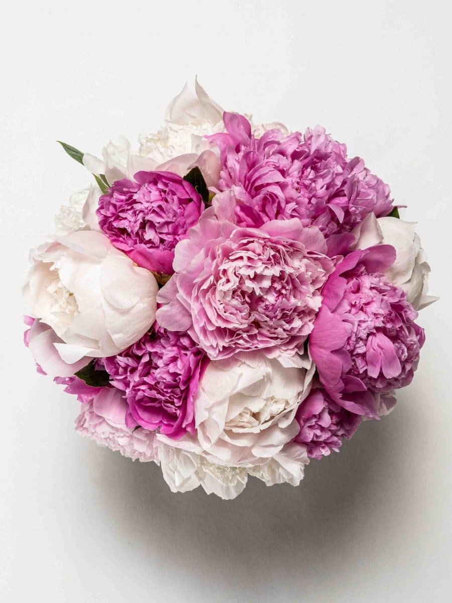 Flowers in Malta Free Flower Delivery Malta Floreal